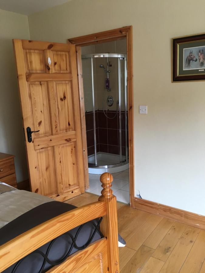 Bed and Breakfast Camino House Tralee Exterior foto